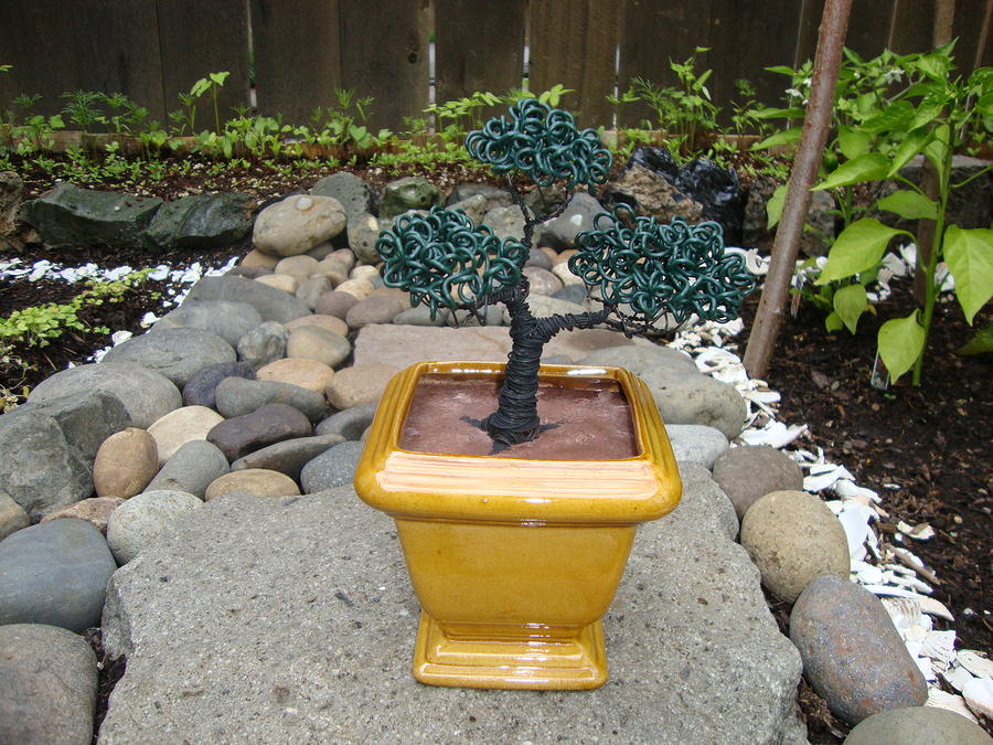 Tree Sculpture - Bonsai Tree Medium Square Golden Vase by Scott Faucett
