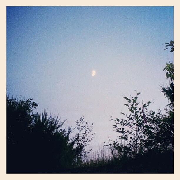 Bonsoir, Lune. Instagram, En #français Photograph by Monika Salita