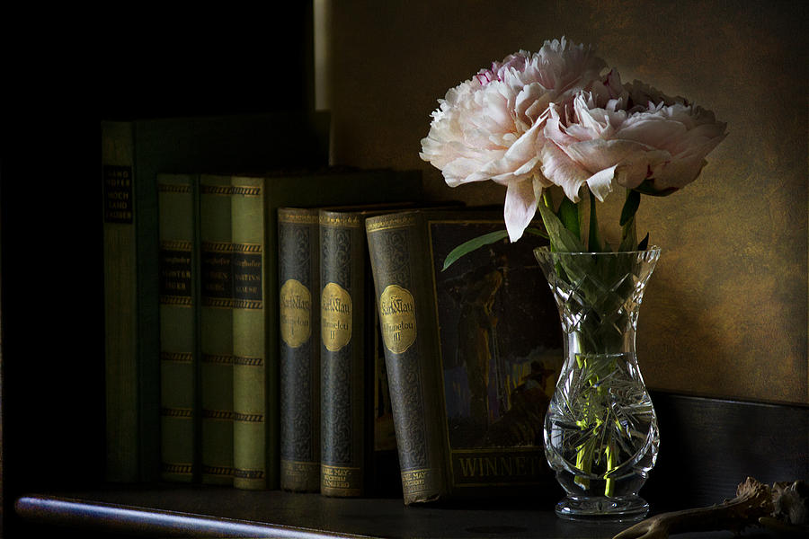 Book Shelf Photograph by John Rivera