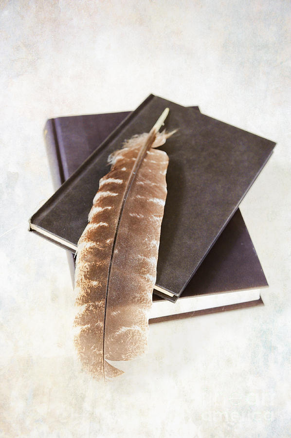 Books And Feather Photograph by HD Connelly