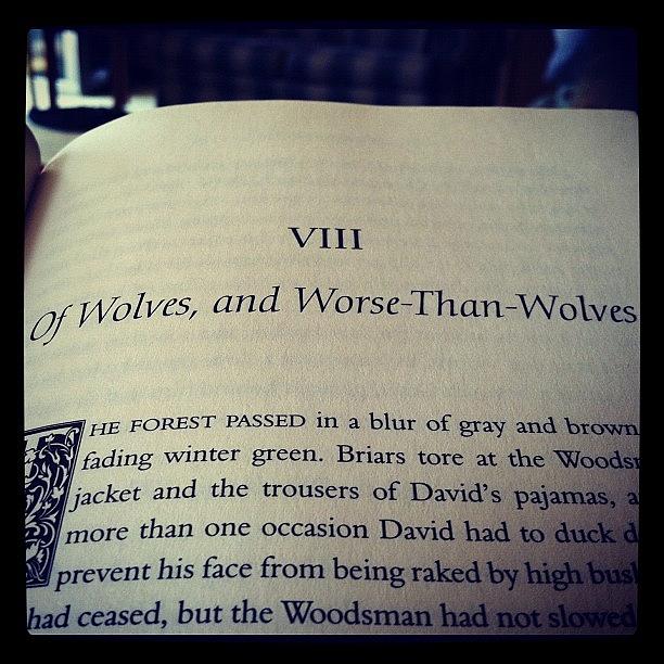Wolves Photograph - #books #horror #reading #werewolves  by Carla Hufstedler