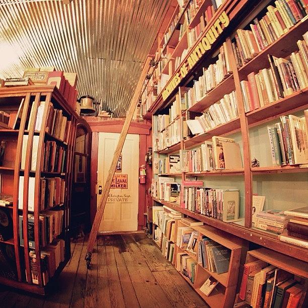 Bookstore Photograph by Jess Hoff