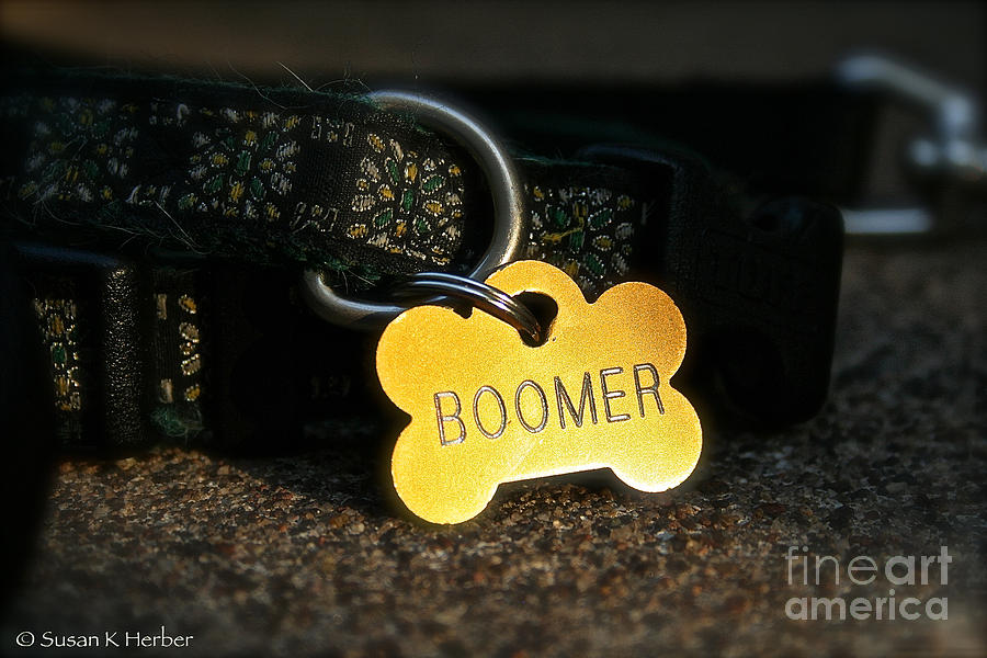 Summer Photograph - Boomer Gear by Susan Herber
