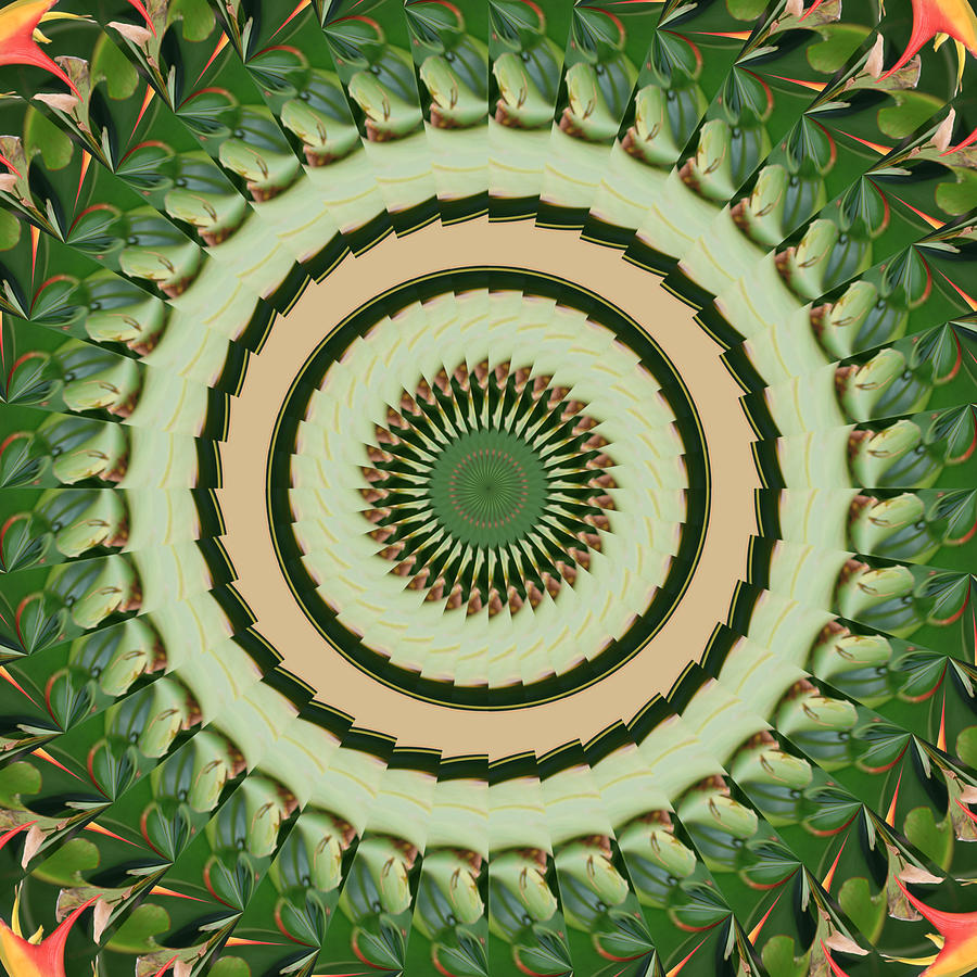 BOP Mandala Digital Art by Bill Barber