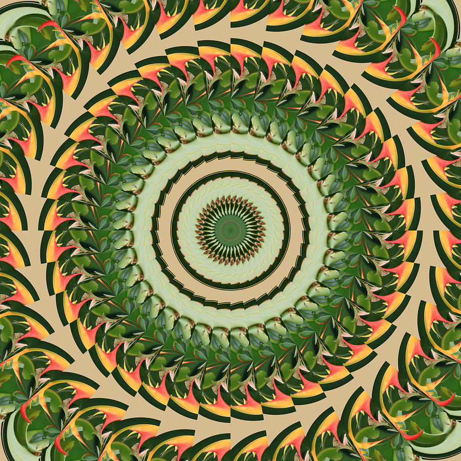 BOP2 Mandala Digital Art by Bill Barber