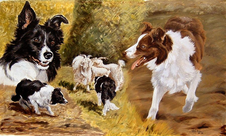 Dog Painting - Border Collies at Work by Barbara Walker