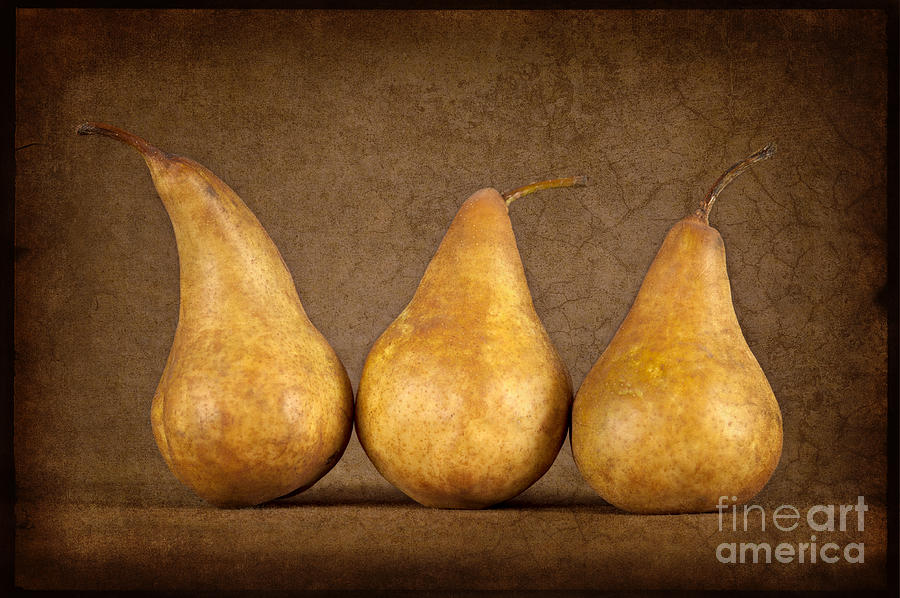 Still Life Photograph - Bosc Pears by Heather Swan