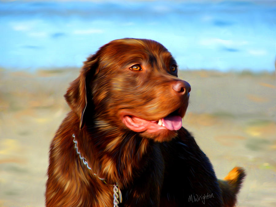 Dog Painting - Bosco at The Beach by Michelle Wrighton