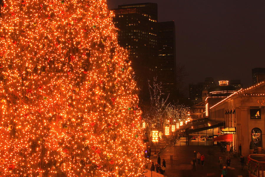 Boston Christmas Tree at Faneuil Hall Marketplace Photograph by John Burk