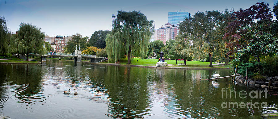 Boston Public Gardens Photograph by Thomas Marchessault