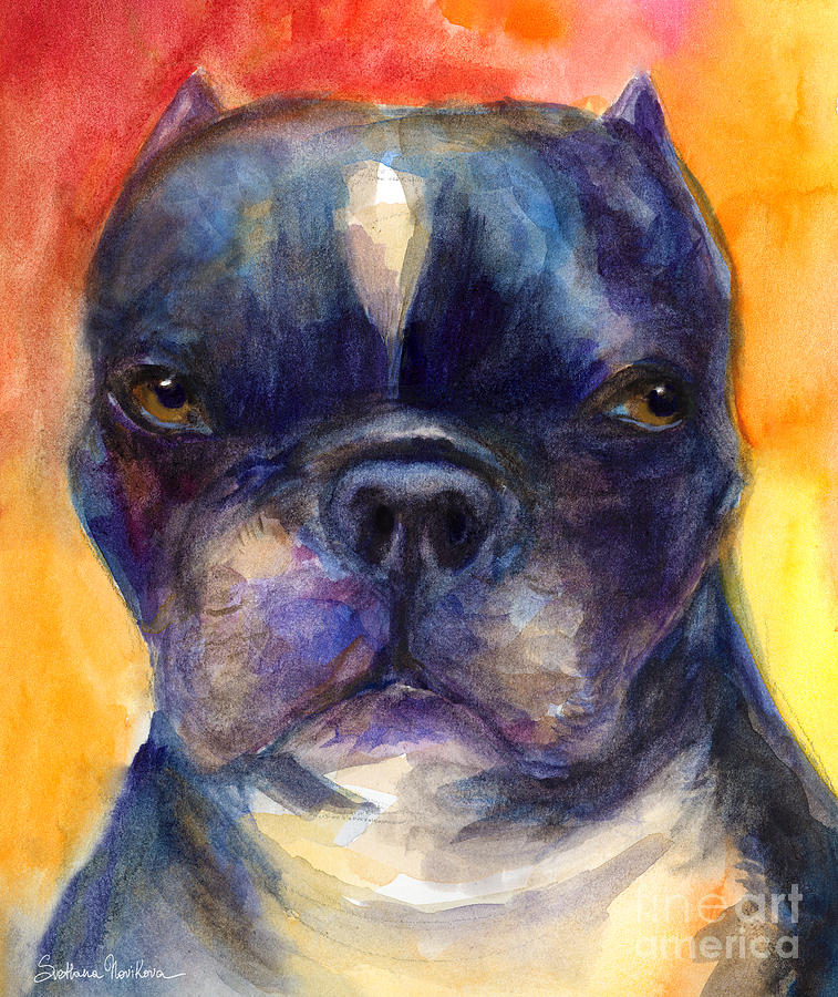 Boston Terrier dog portrait painting in Watercolor Painting by Svetlana Novikova