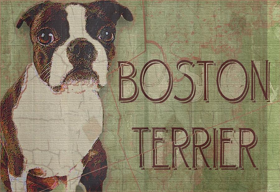 Boston Terrier Digital Art by Wendy Presseisen | Fine Art America