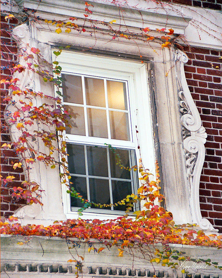 Boston Photograph - Boston Window by Diana Haronis