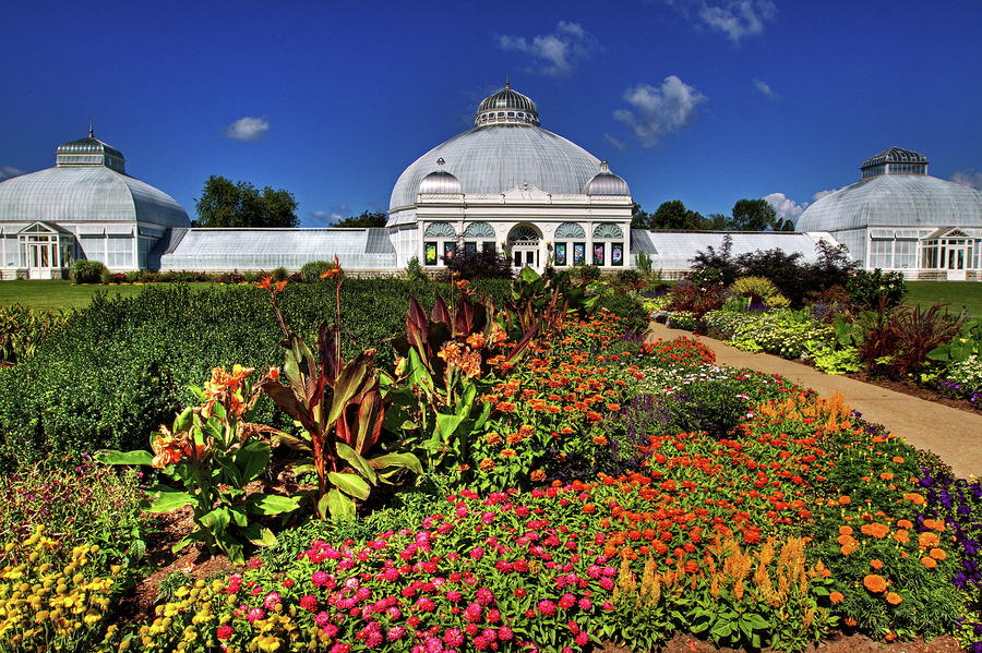 Botanical Botanical Gardens Photograph by Don Nieman