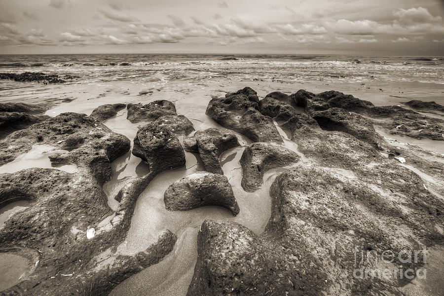 Botany Bay Clay Sands Photograph by Dustin K Ryan