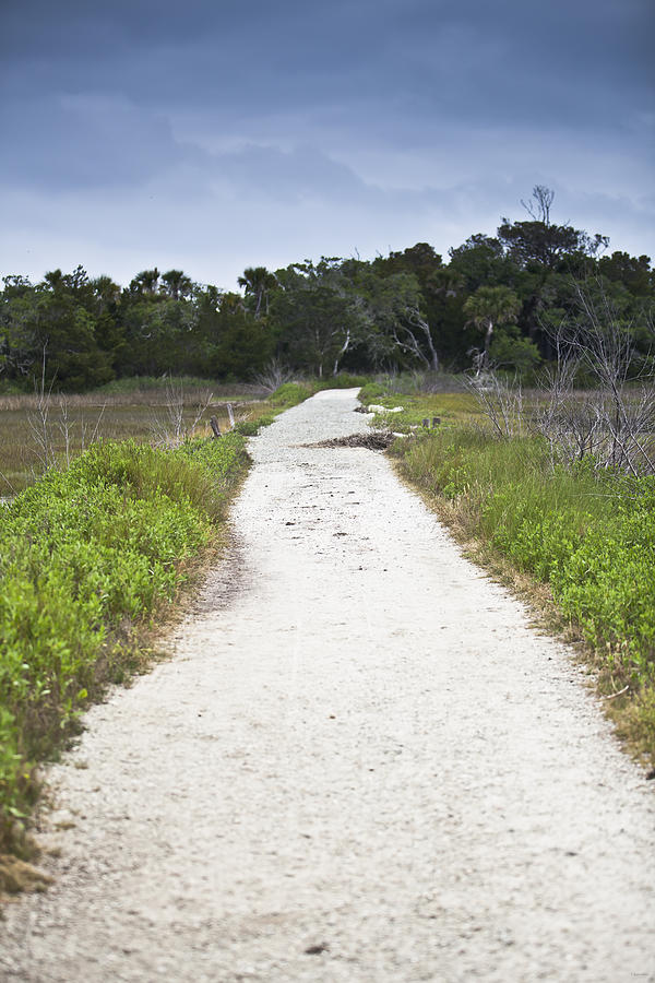Charleston Photograph - Botany Bay Pathway - Vertical by Donni Mac