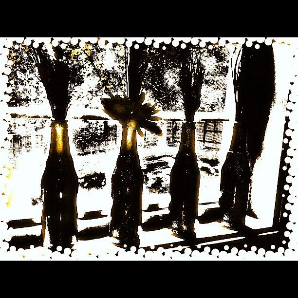 Cool Photograph - #bottle #wine #window #black #trees by Shawna Poulter
