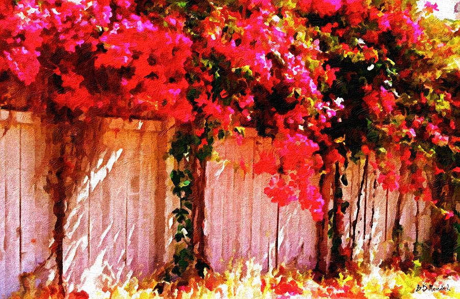 Bougainvillea Painting by Brian D Meredith Fine Art America