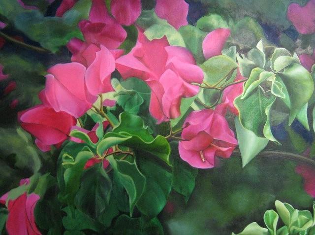 Bougainvillea Painting by Sara ONeill - Fine Art America