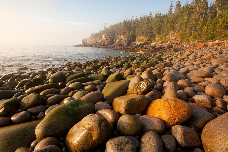 Boulder Beach Acadia National Park Maine by Binh Ly