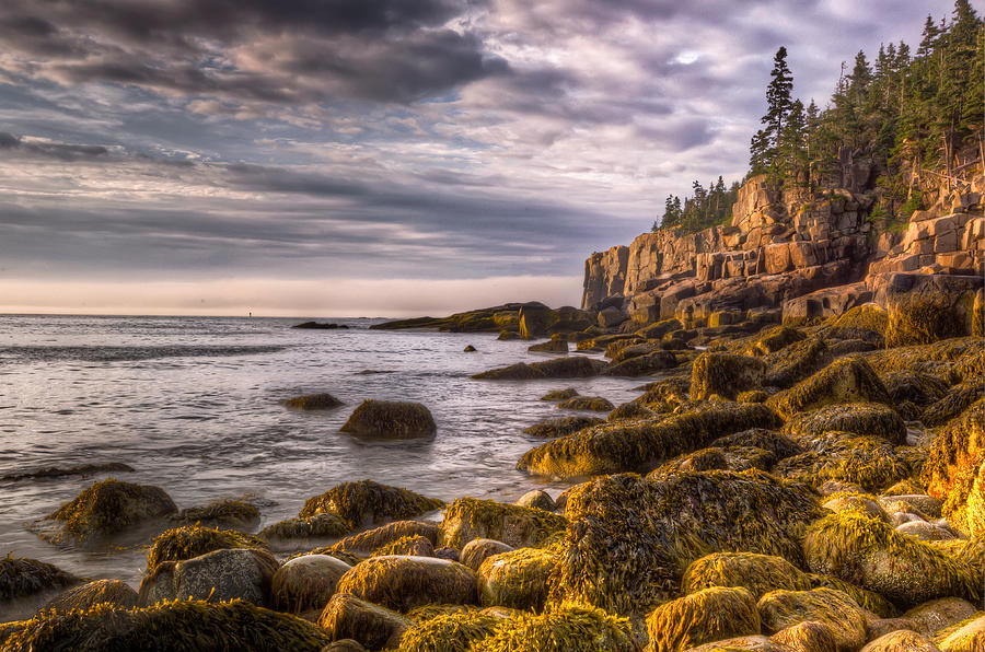 Boulder Beach in Morning Light Photograph by At Lands End Photography