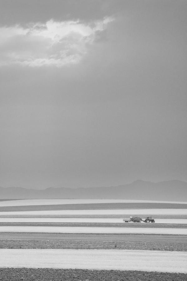 Boulder County Colorado Farming Black and White Photograph by James BO Insogna