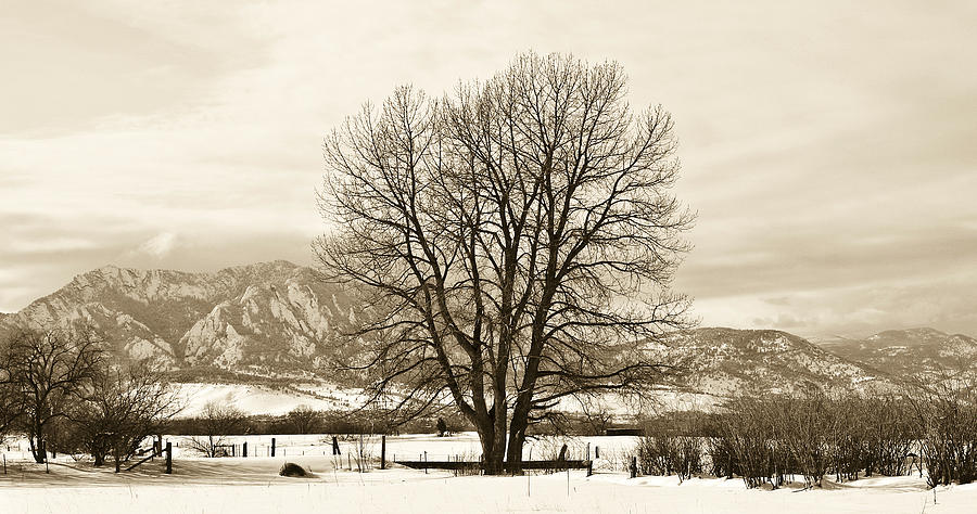 Winter Photograph - Boulder County by Marilyn Hunt