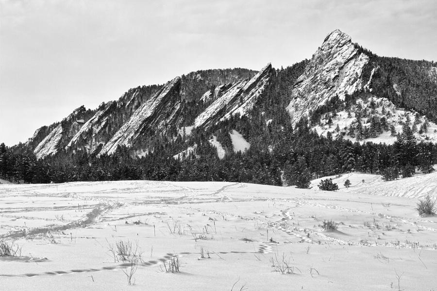 Nature Photograph - Boulder Flatirons Winter Landscape Black and White by James BO Insogna