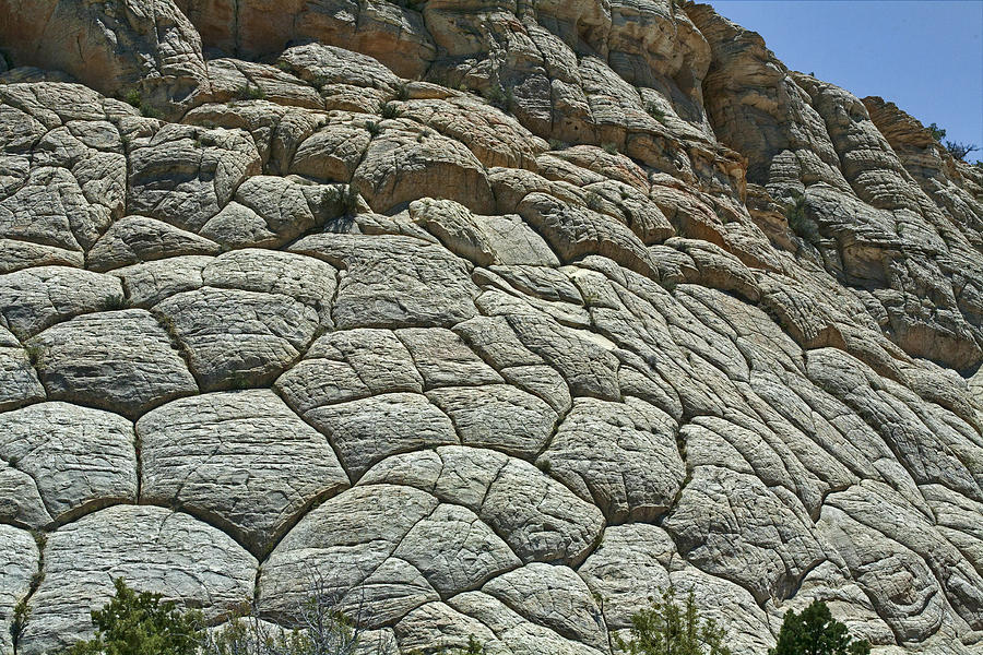 Boulder Mesa Photograph by Gregory Scott