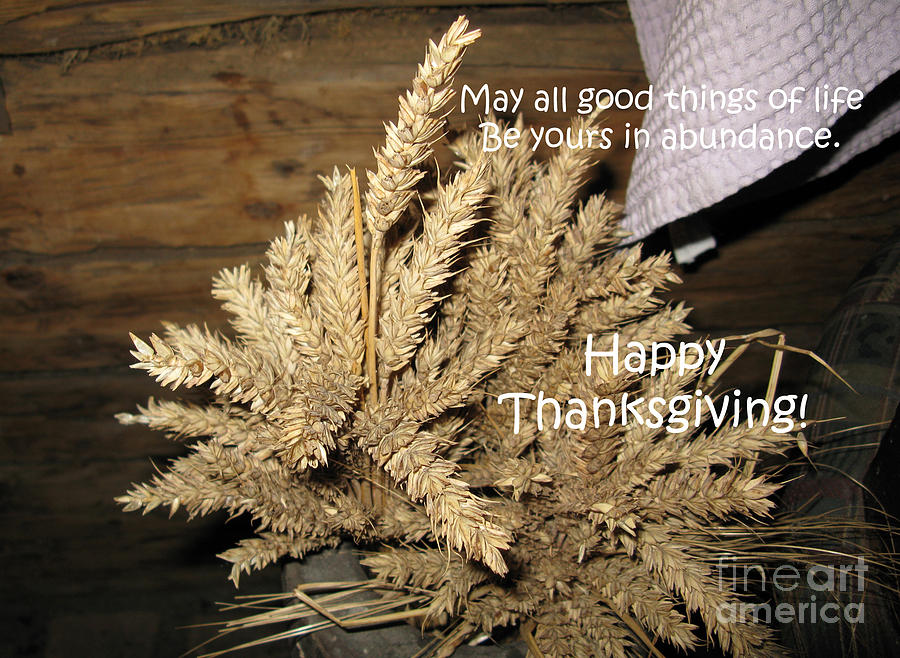 Thanksgiving Photograph - Bounty. Thanksgiving greeting card by Ausra Huntington nee Paulauskaite