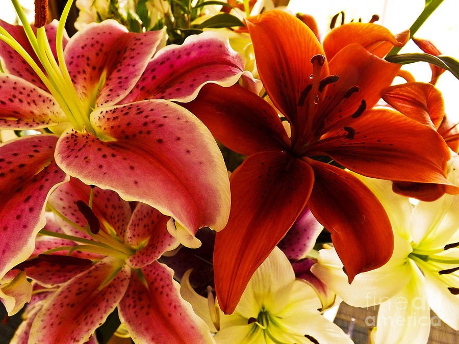 Bouquet of lillies Photograph by Gary Brandes