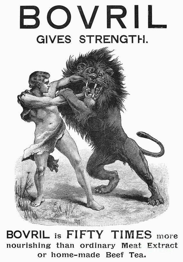 Lion Photograph - Bovril Advertisement, 1894 by Granger