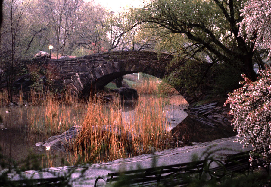 Bow Bridge The Pond Central Park Photograph by Tom Wurl