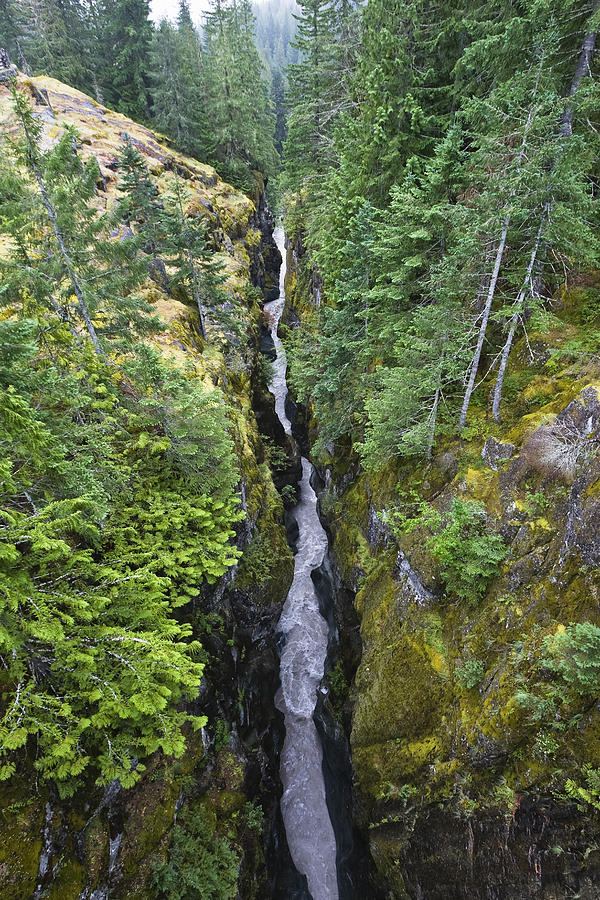 Box Canyon With Flowing Stream, Mount Photograph by Konrad Wothe