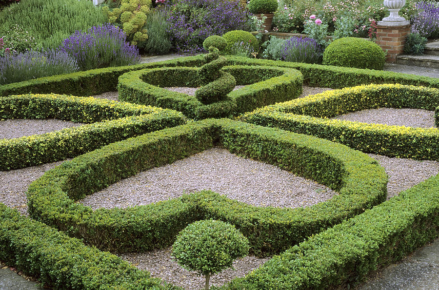Box Hedges, Spiral, Parterre, Garden Design Photograph by Neil Holmes on Parterre Garden Designs
 id=40904