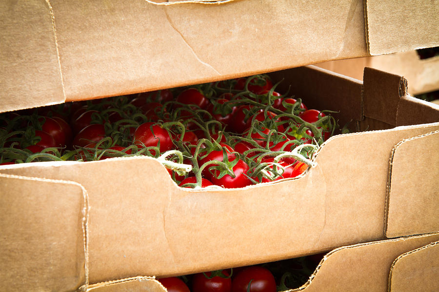 Box Of Vine Ripe Tomatoes Photograph by Dina Calvarese