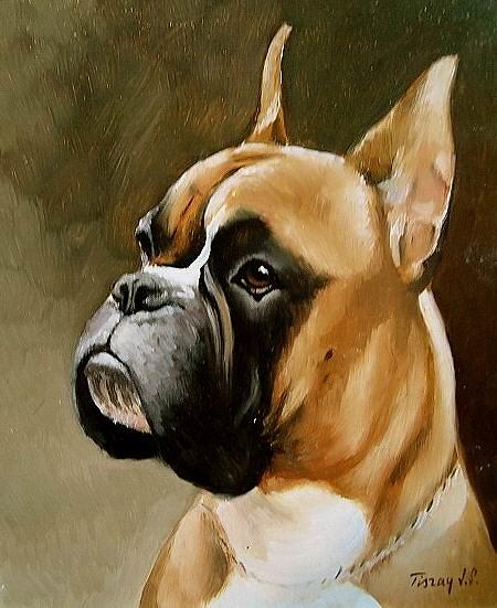 Pet Painting - Boxer portrait by Joe Tiszai