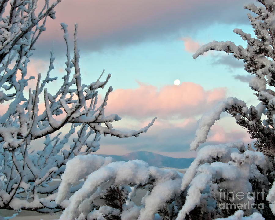 Boyd Lake Winter Sunrise Photograph by Harry Strharsky