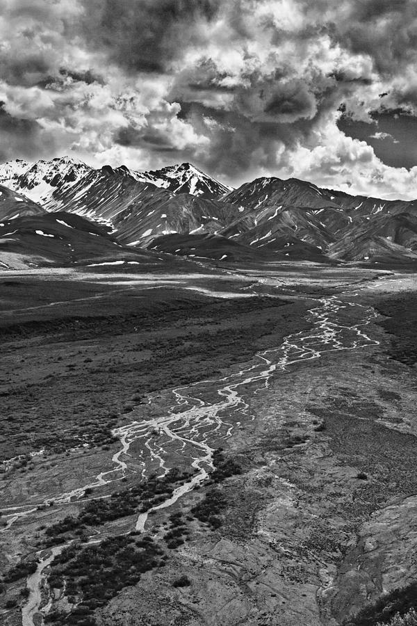Wildlife Photograph - Braided River by Wes and Dotty Weber