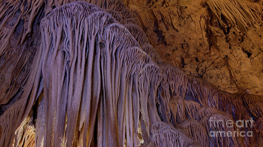 Carlsbad Caverns National Park Photograph - Brain Rock by Keith Kapple
