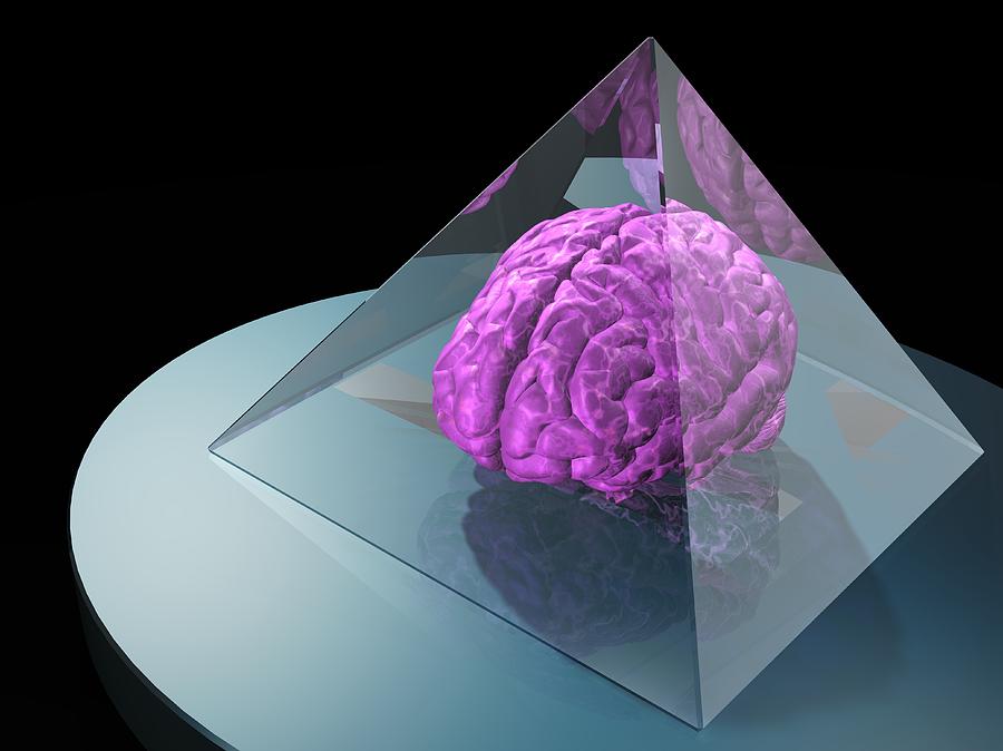 Brain Trapped In A Pyramid, Artwork Digital Art by Laguna Design