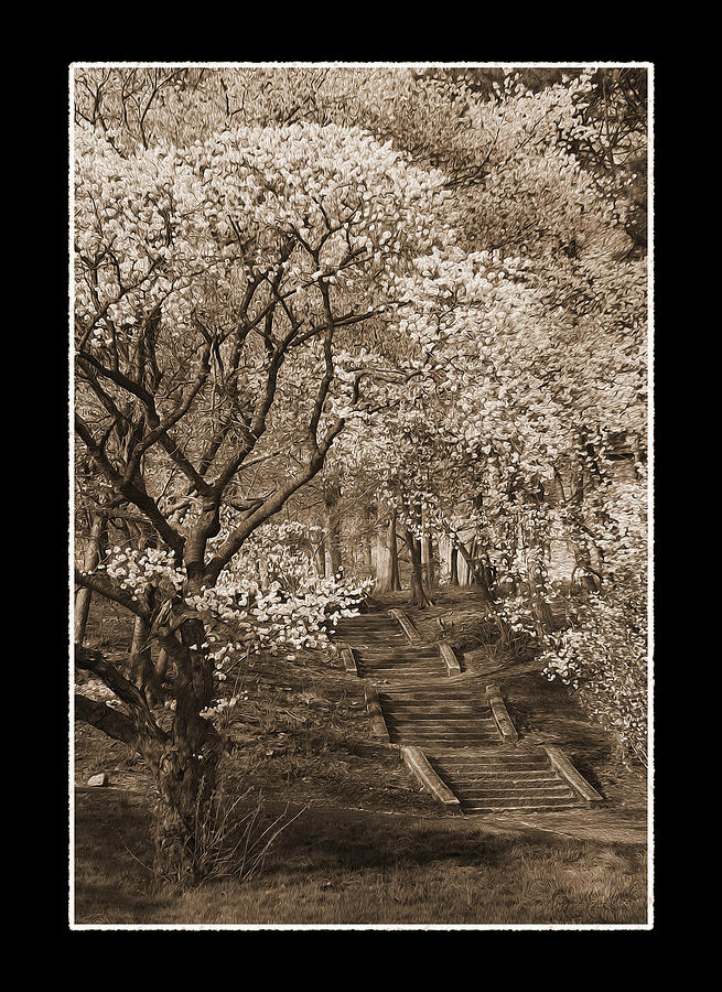 Sepia Photograph - BranchBrook Park in Sepia by Maggie Magee Molino