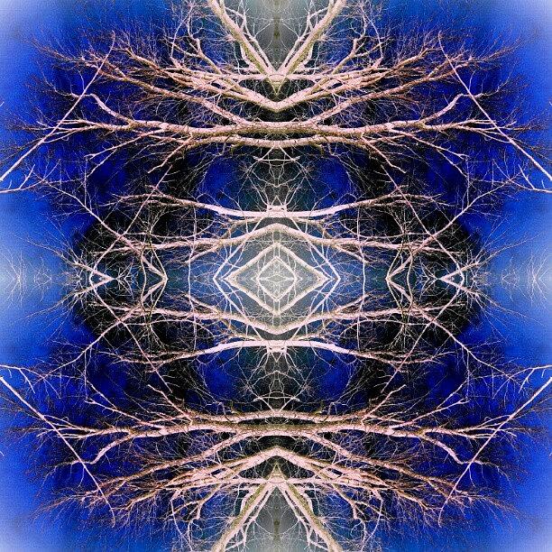 Abstract Photograph - Branches Of Lightning #abstract by Marianne Dow