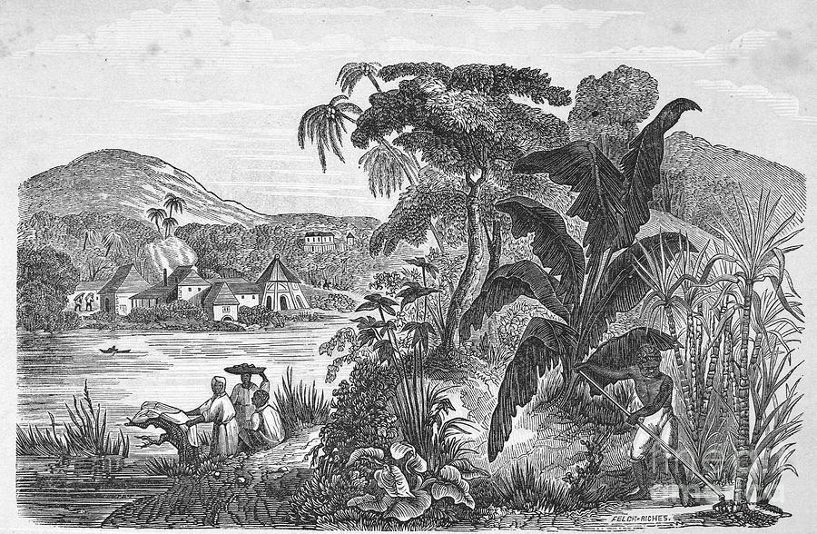 Brazil: Slavery, 1857 Photograph by Granger