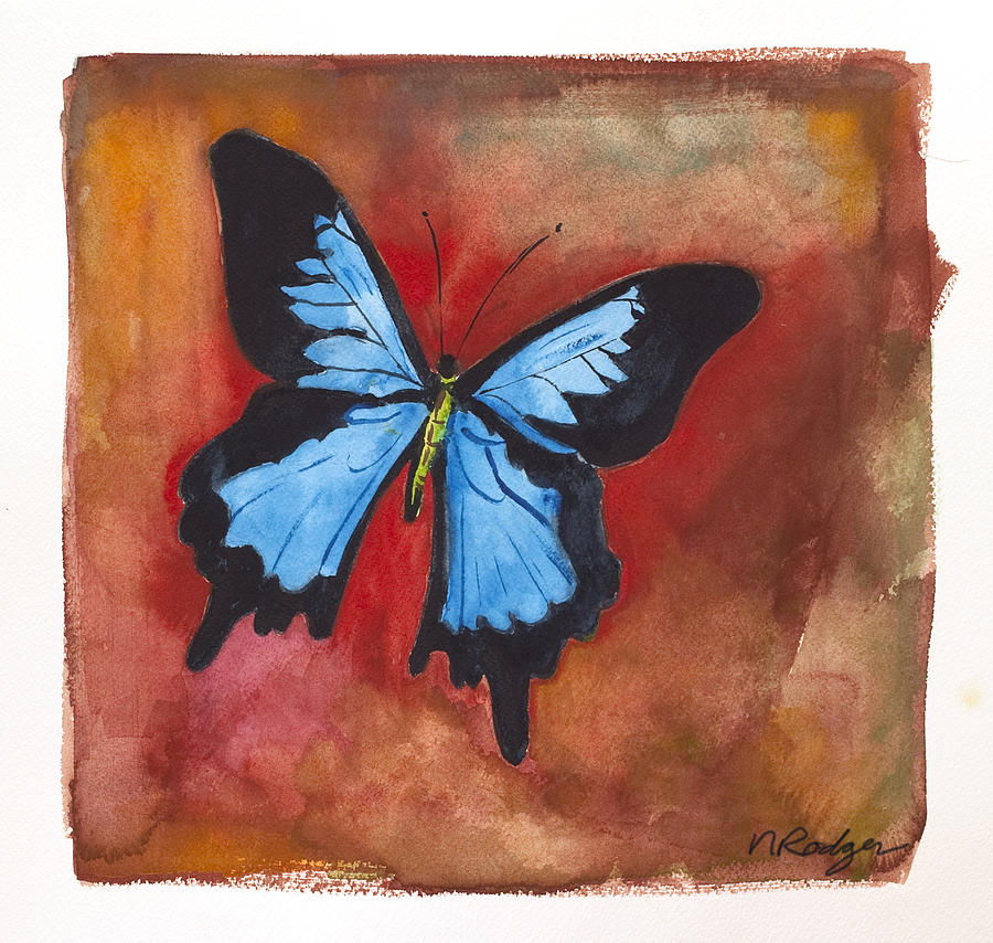 Butterfly Painting - Brazilian Butterfly by Nancy Rodger