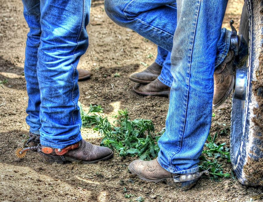 Break Time Photograph by Vikki Correll - Fine Art America