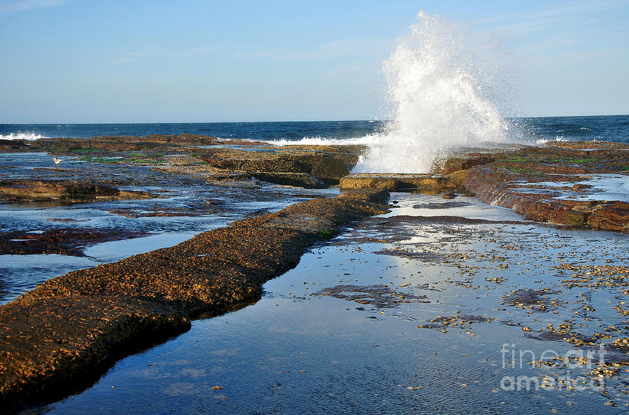 Landscape Photograph - Breaking Surf by Kaye Menner