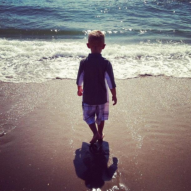 Summer Photograph - Brian Walks Right Up To The Water And by Annamarie Coogan