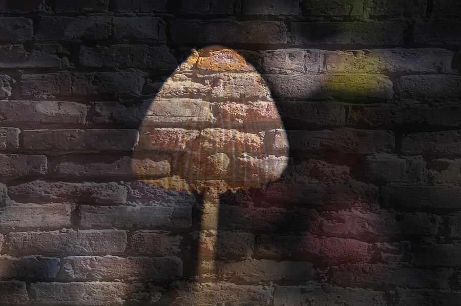Brick Mushroom Mixed Media by Eric Liller