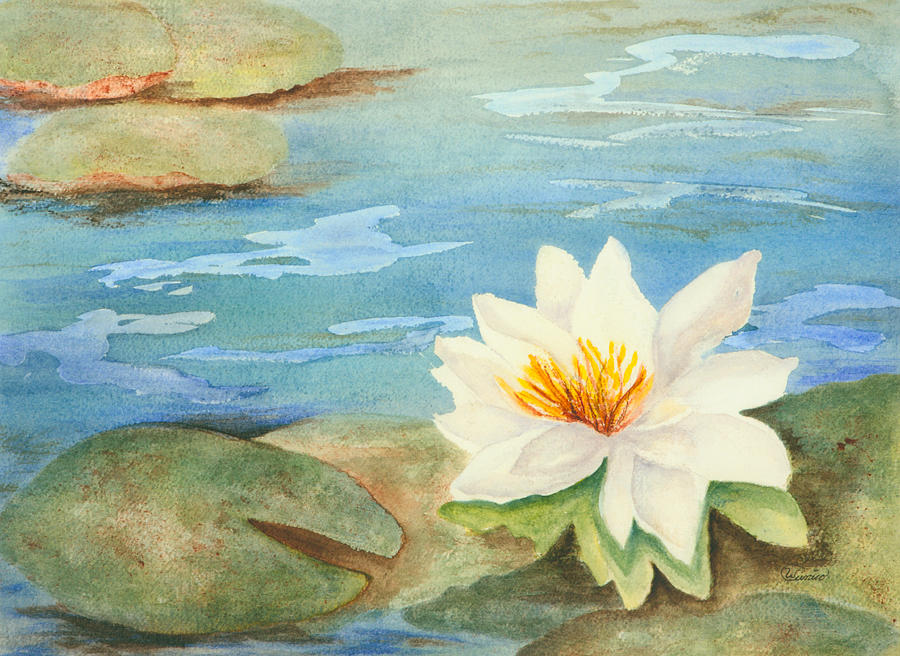 Lily Painting - Brick Yard Pond Lily by Wendy Cunico